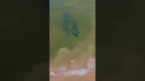 Water looking green from above