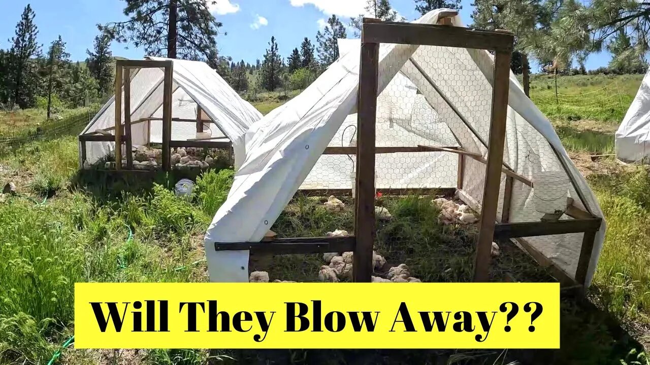 Will they blow away??