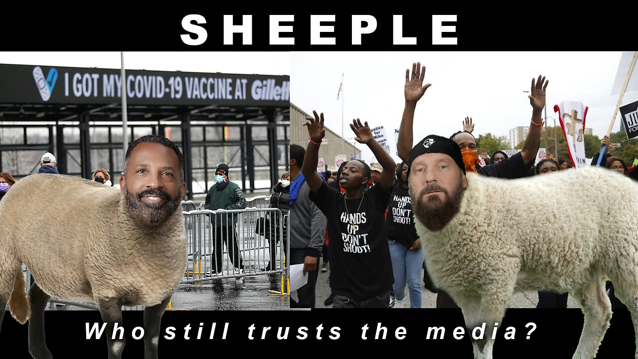 Sheeple and the News - Who still trusts the media?