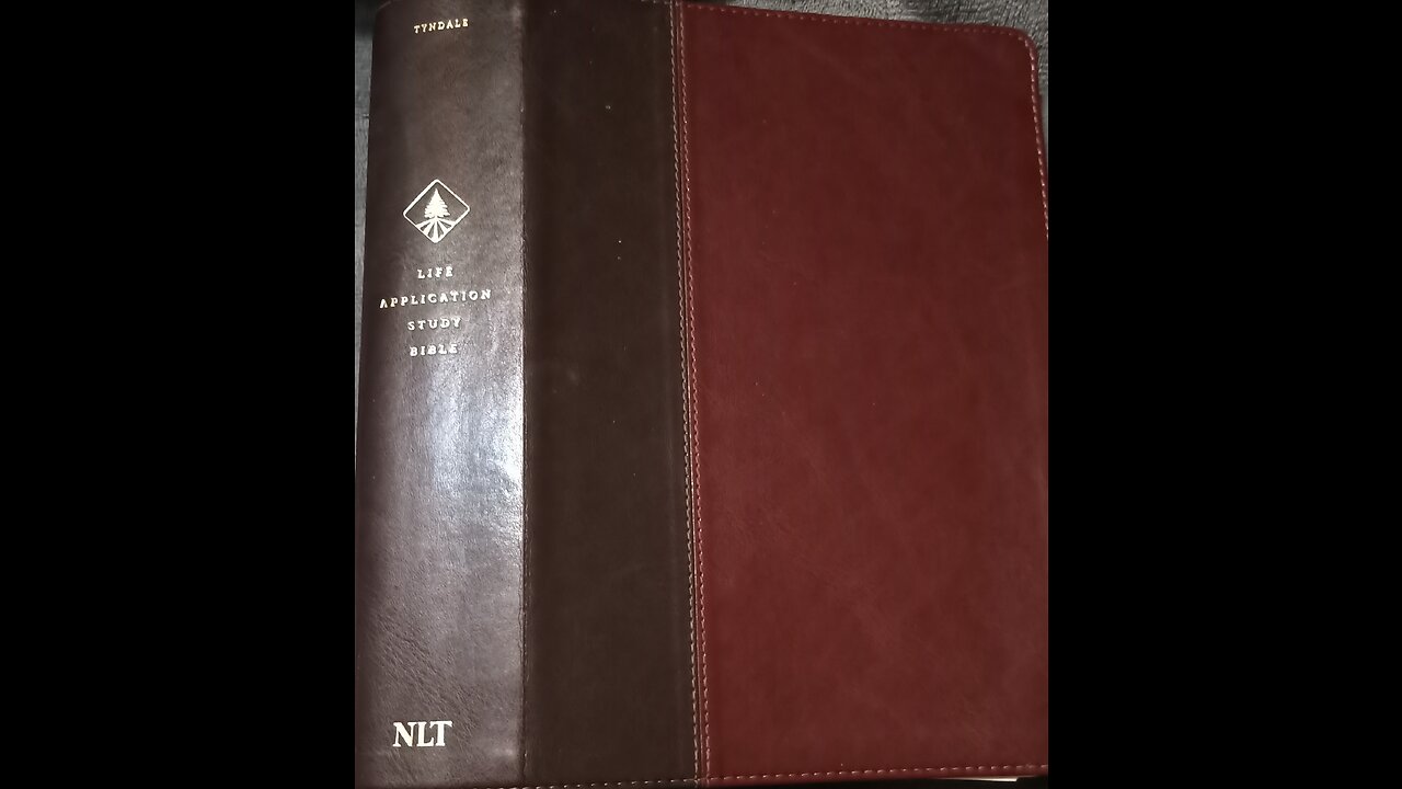 A brief overview of the NLT Bible