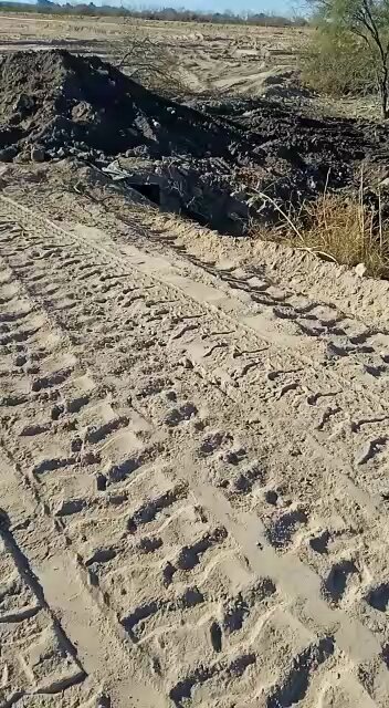 Preparando la tierra para sembrar árboles México