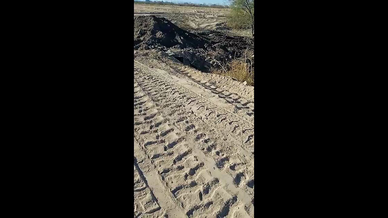 Preparando la tierra para sembrar árboles México