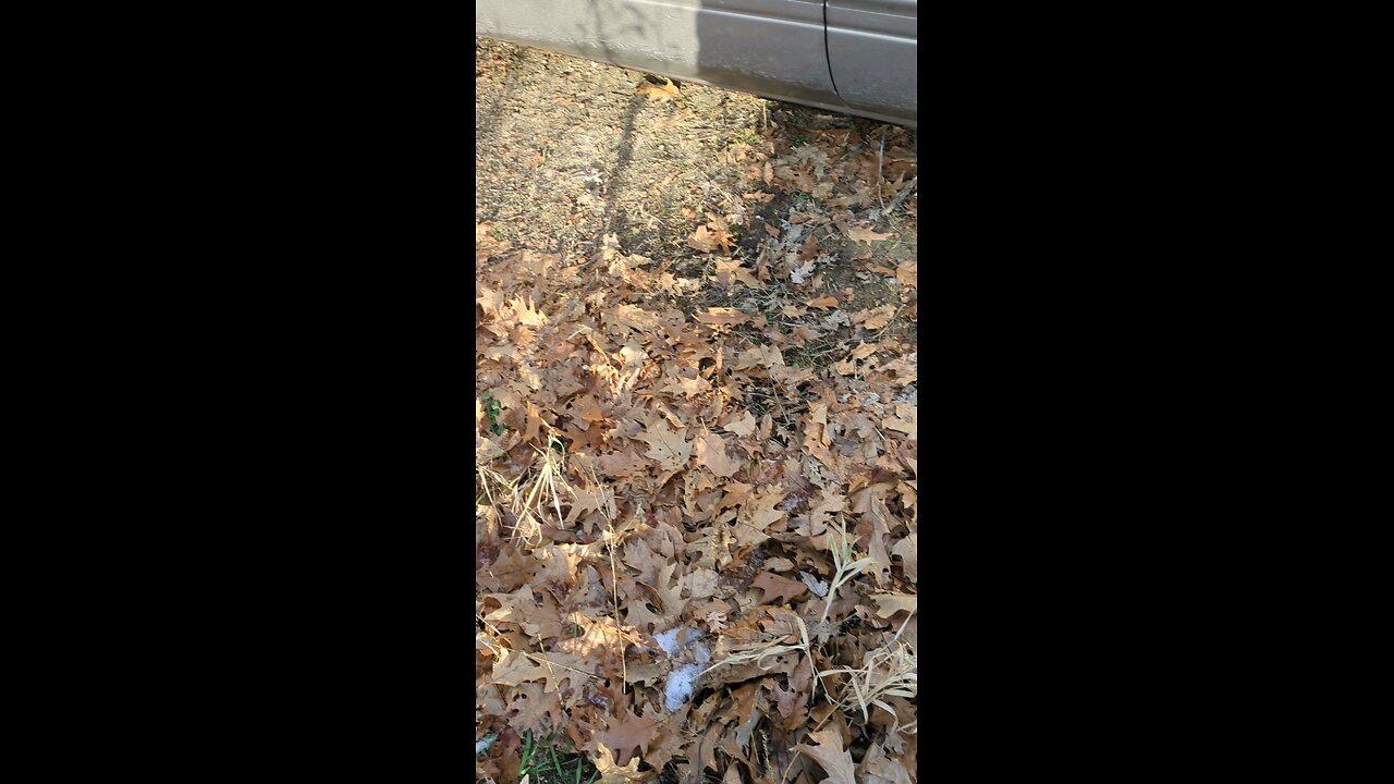 I Love My Car