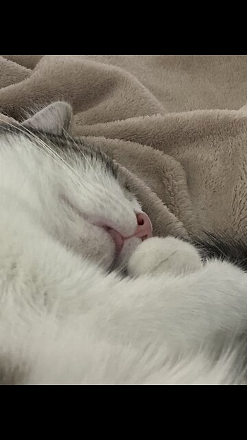 Why can't I get stuff done?