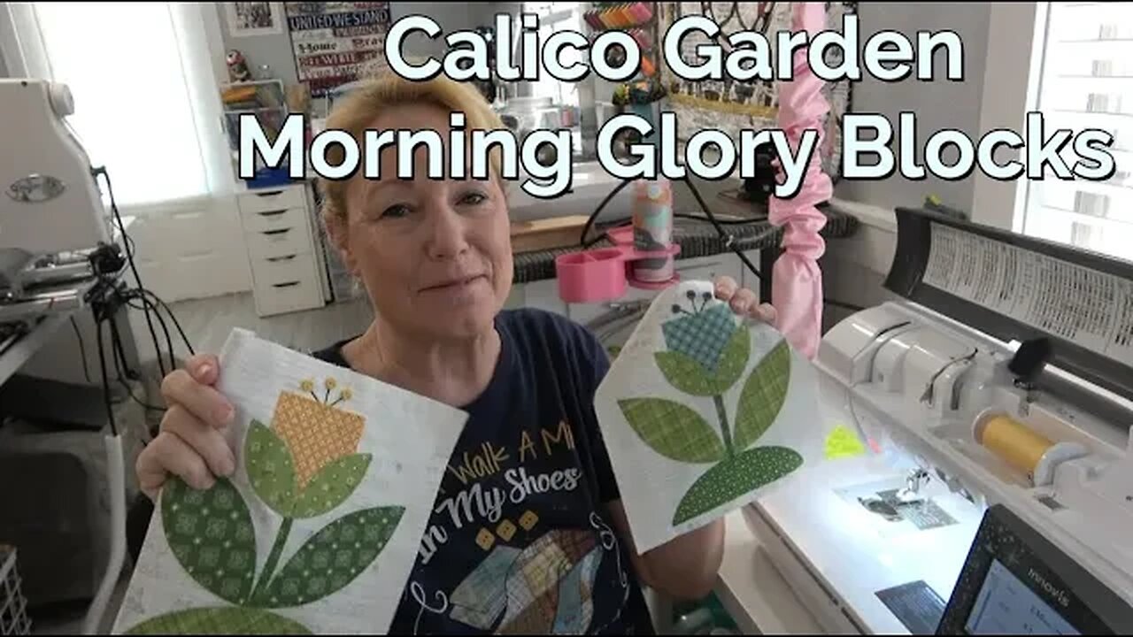 Calico Garden Morning Glory, Digitize w/ Embrilliance Stitch Artist 2, ScanNCut, & Design Center