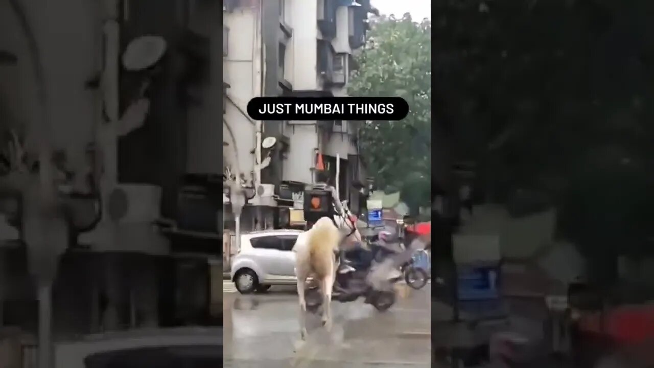 swiggy delivery on Horse 🤣funny#shorts#viral #animals