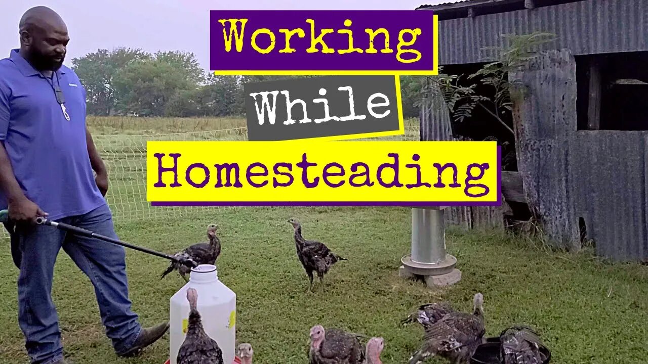 Homesteading While Working Full Time