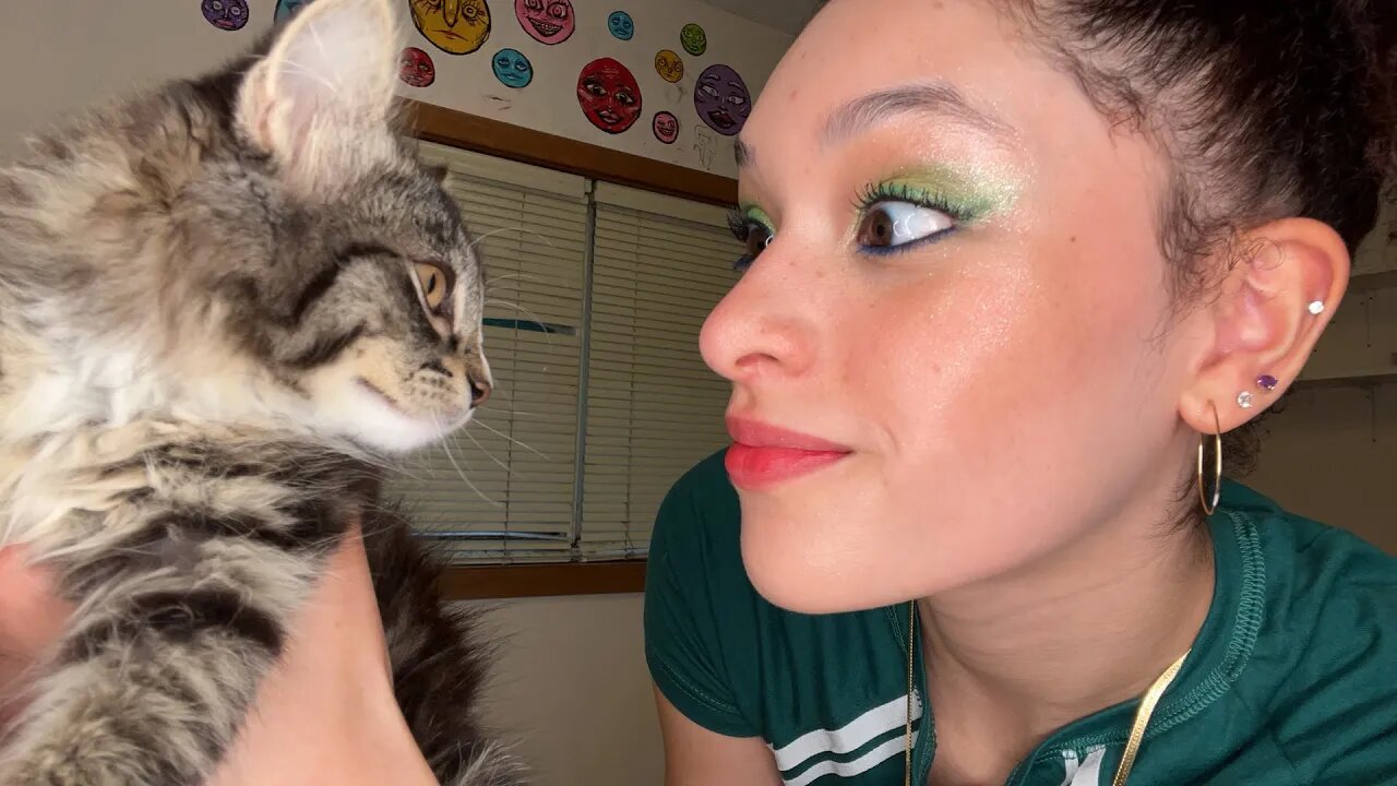 🔴LIVE! TEACHING MY KITTEN TRICKS!