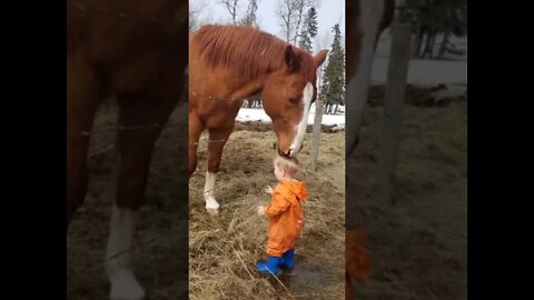 Little boy shares special bond with his horse