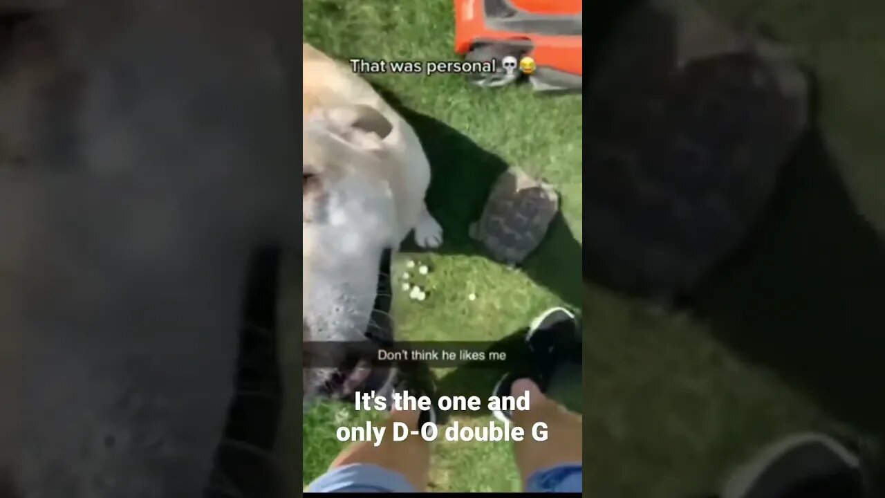 MEME is the one and only D-O double G #shorts