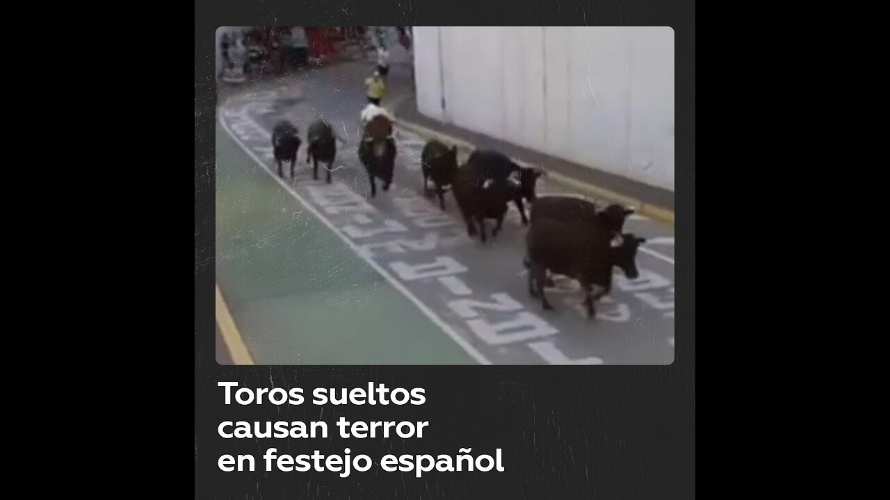 Pánico en festejo en España: toros sueltos aterrorizan a multitud de personas