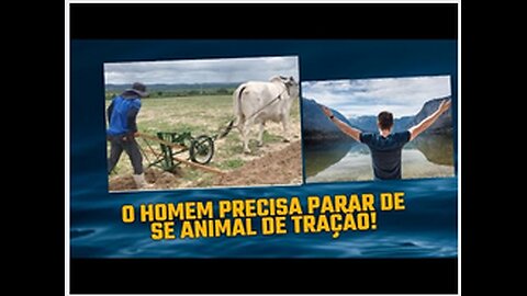 O HOMEM COMO ANIMAL DE TRAÇÃO E SUA DOMESTICAÇÃO DIANTE DAS EXIGÊNCIAS DE SUAS COMPANHEIRAS!