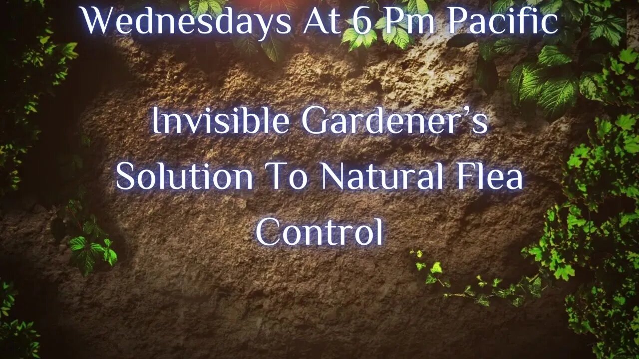 Invisible Gardener’s Solution To Natural Flea Control