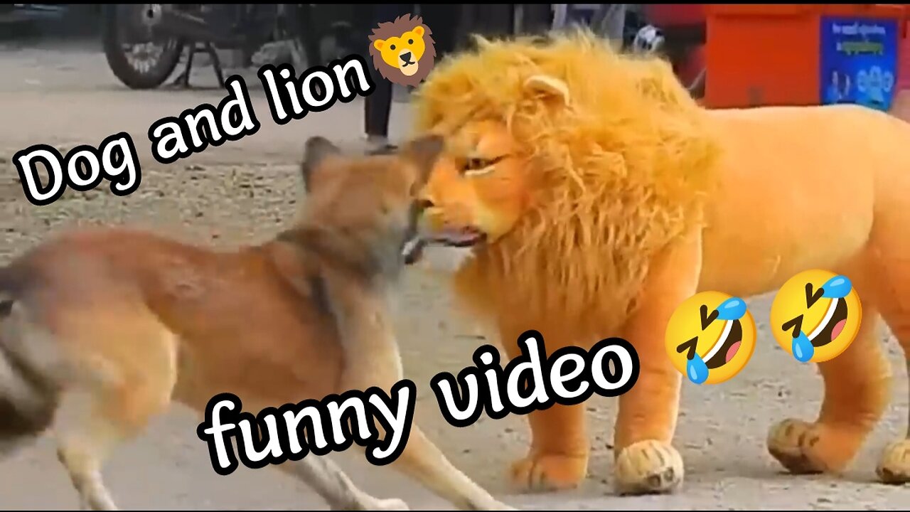 Dog and lion funny🤣🤣 prank video