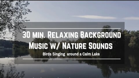 Birds Singing Calm Lake Relaxation Music: 432 hz healing binural frequency