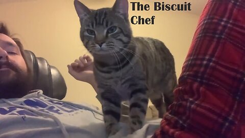 Making Biscuits