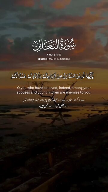 surah Al Taghabin verses no.14 ,16 Tilawat Quran Pak