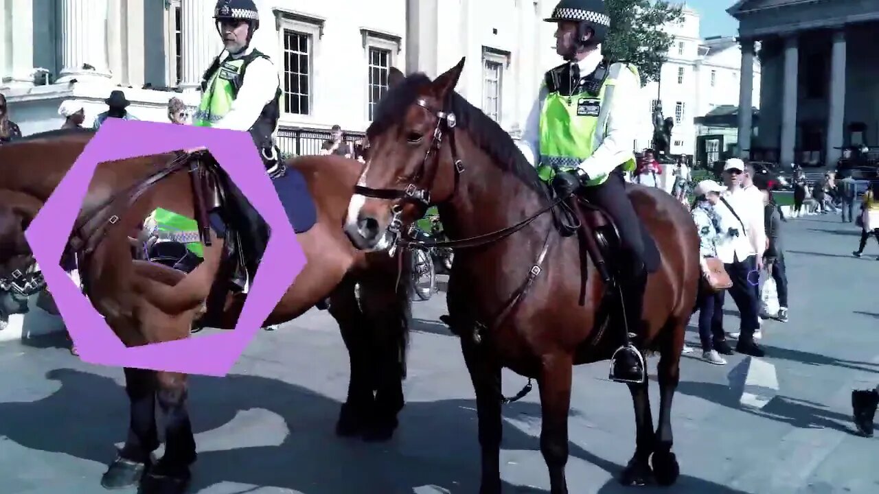 MET Police C@£tstable Snaps Union FLAG pole