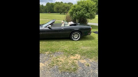 jaguar