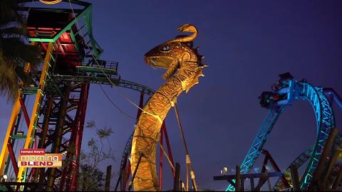 Busch Gardens