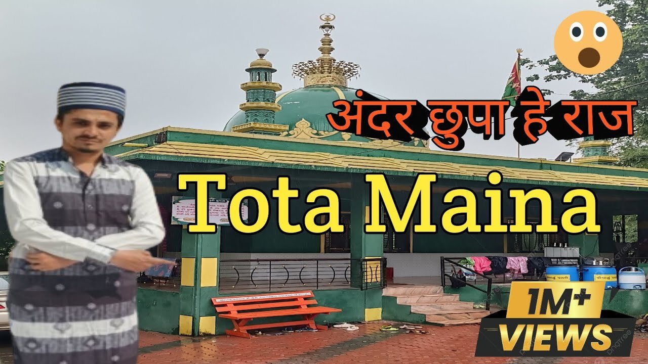 Tota Maina | Andar Chupa Hai Raaz | Surat Vlog | MohammadFaizanShaikhMFS