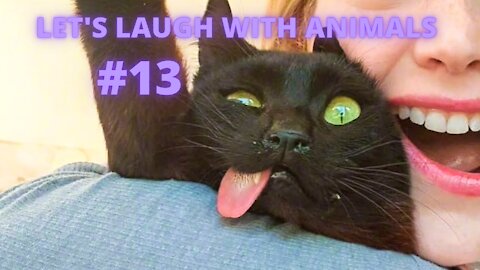 LET'S LAUGH WITH ANIMALS | #13