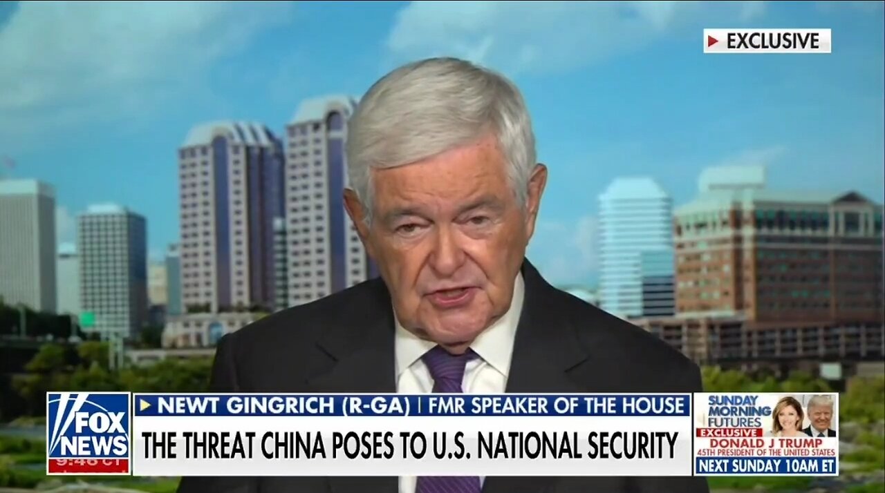 Newt: Biden Admin Is Either Corrupt Or Lives In Fantasyland