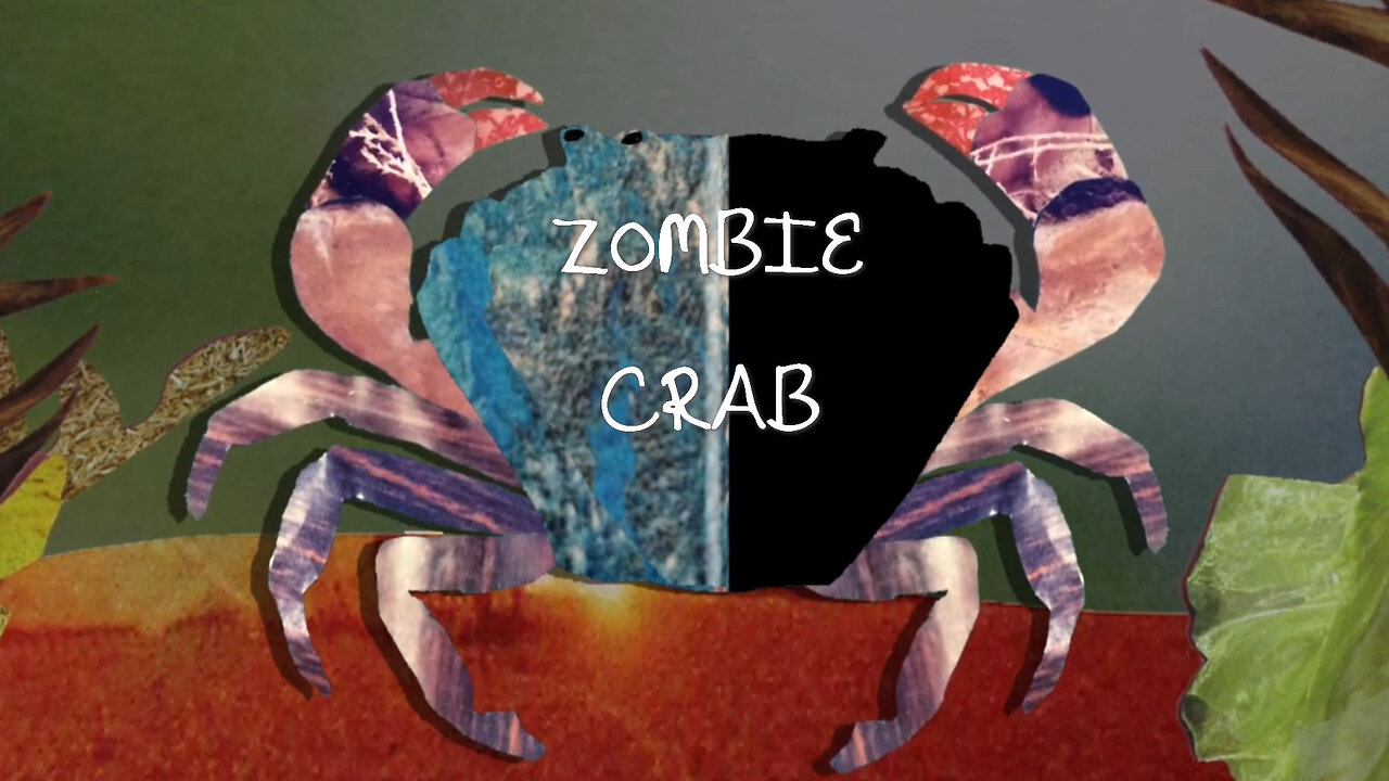 The Crab Castrating Zombifying Parasite – (modified host behaviour)