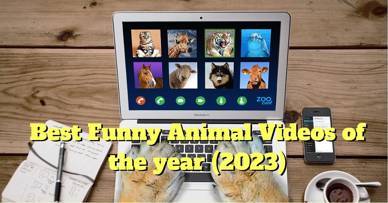 Best Funny Animal Videos of the year (2023)