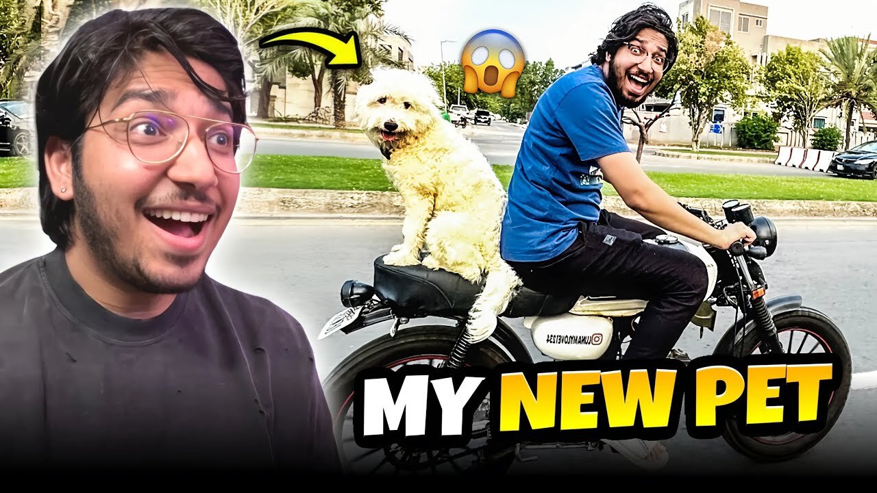 Dog Ko Bike Par Ride Di 😂 | Public Ka Reaction 😱 | Papa Abhi Be Bohat Gussa Mery Sy 😭