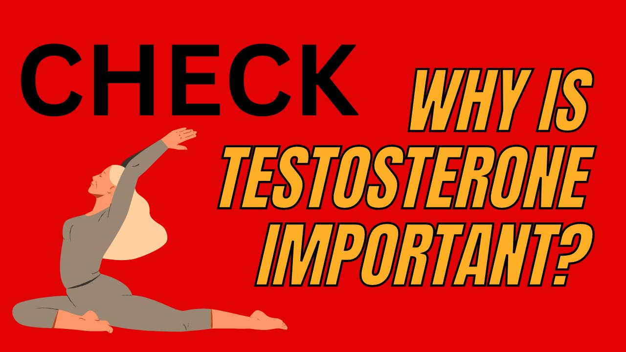 Why Is Testosterone Important?