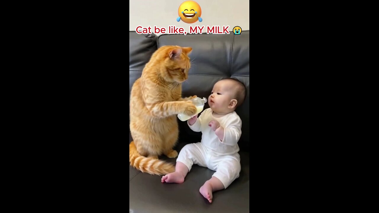 cute cat taking care of baby 💕😻❤️