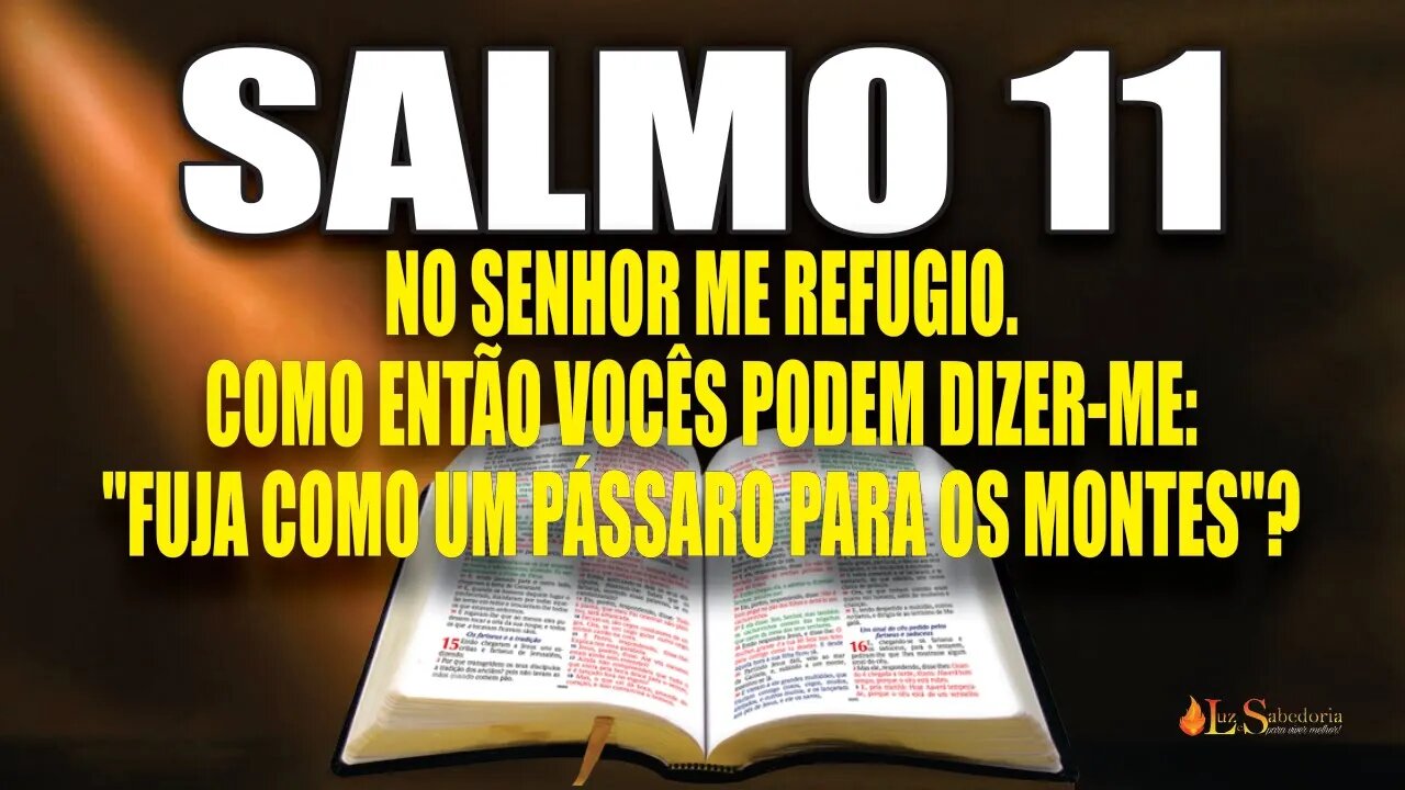 Livro dos Salmos da Bíblia: Salmo 11