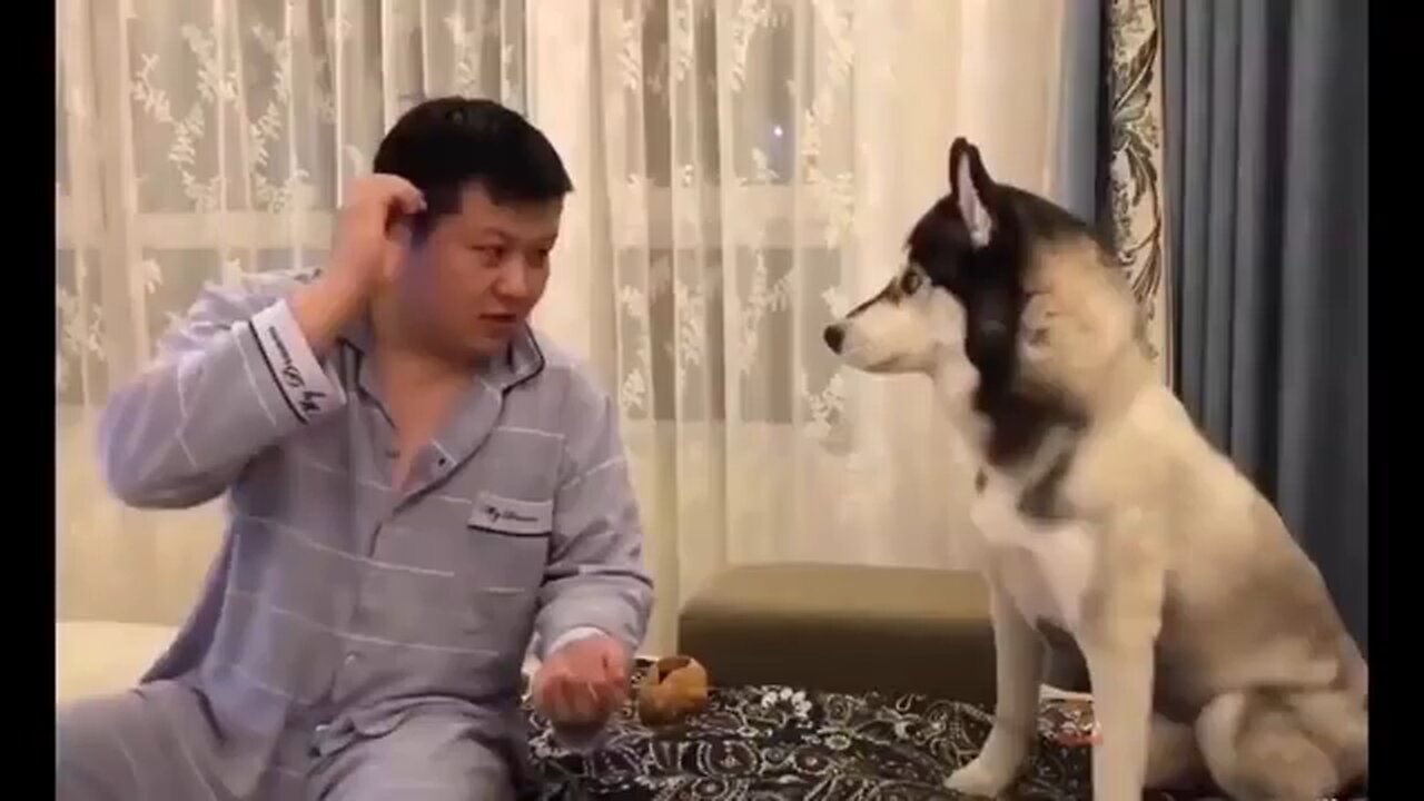 Funny animal #rumble