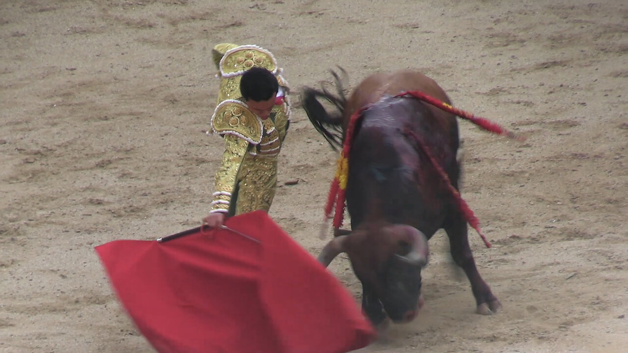 2024 05 19 MADRID CORRIDA DE TOROS MIURA