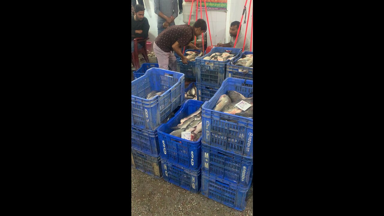 World biggest fish whole sale market #fish #market