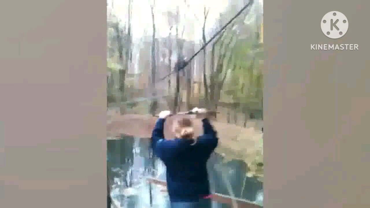 Funny Falls