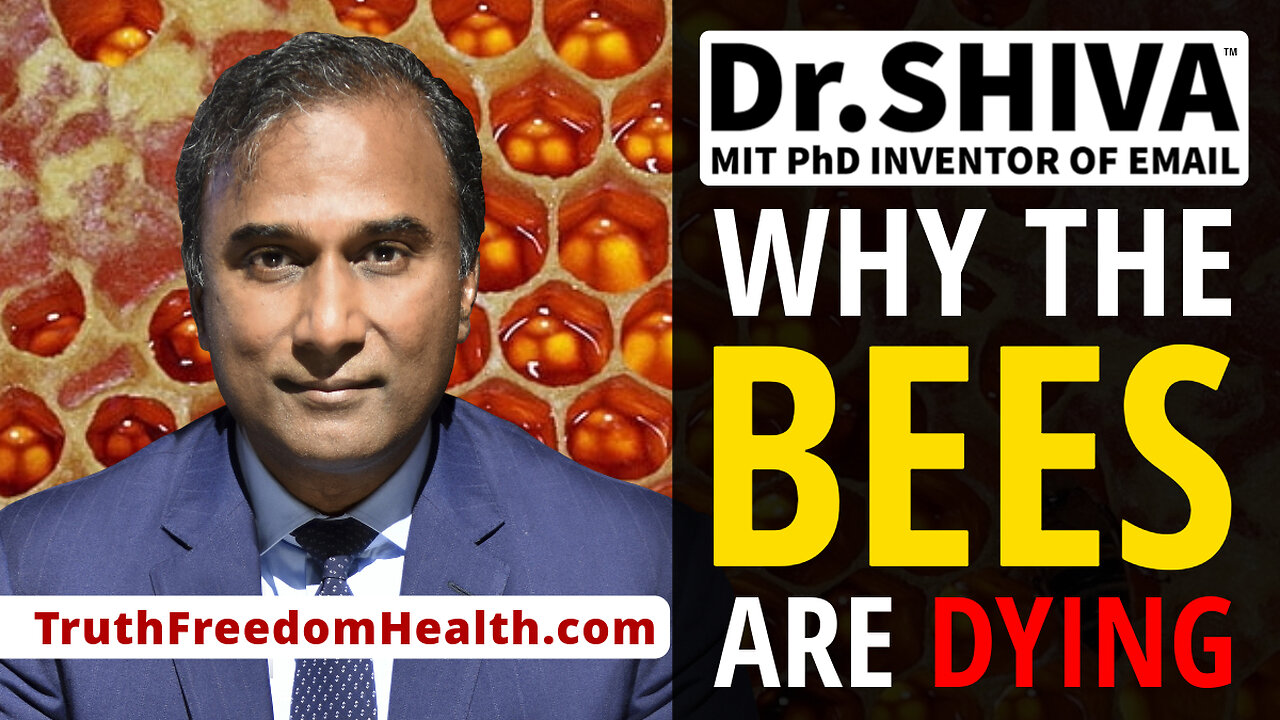 Dr.SHIVA™ LIVE – Why The Bees Are Dying