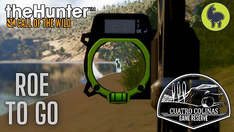 Roe to Go, Cuatro Colinas | theHunter: Call of the Wild (PS5 4K)