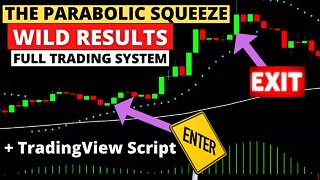 You Will Love This System + Community Automated Script