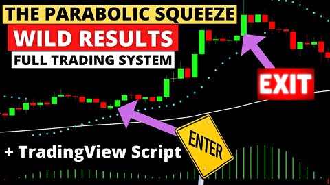 You Will Love This System + Community Automated Script
