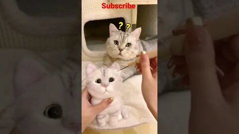 Cute animals Cat Funny video 😻😂🤣|| #Shorts #Shortsfeeed #Youtubepets_&_animals