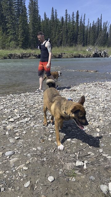 Hidden Gem in YYC - Sunday Funday with the doggos