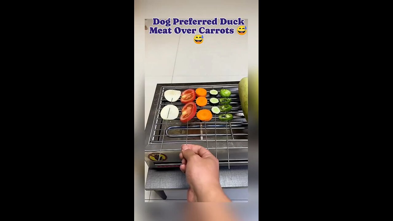 dog want to eat duck meat over carrots