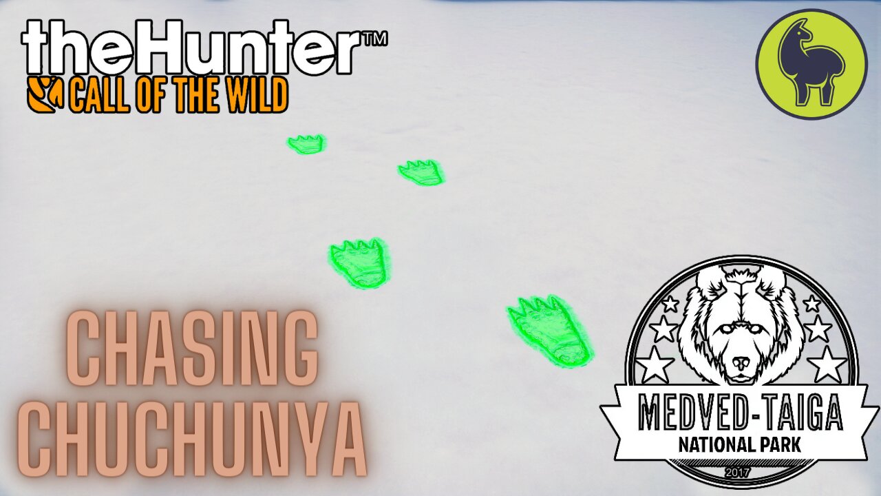 Chasing Chuchunya, Medved Taiga | theHunter: Call of the Wild (PS5 4K)