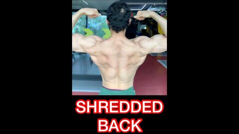 SHREDDED BACK #shorts #youtubeshorts