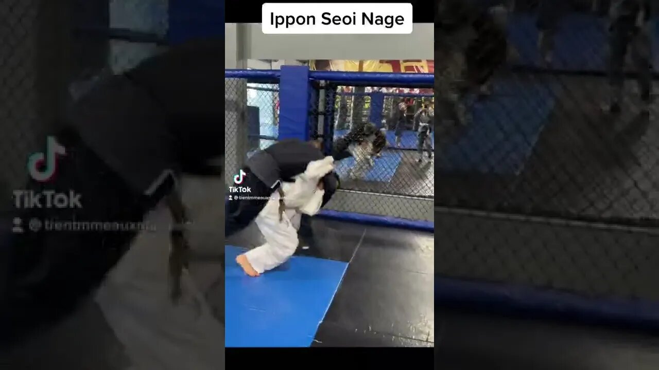 Working Judo Ippon Seoi Nage