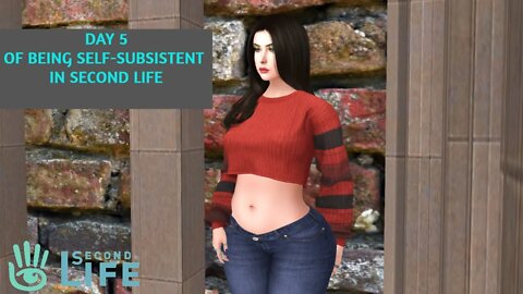 [Day 5 ]of Being Self Subsistent in Second Life.