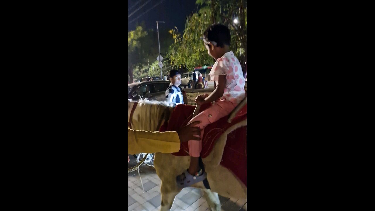 horse ride