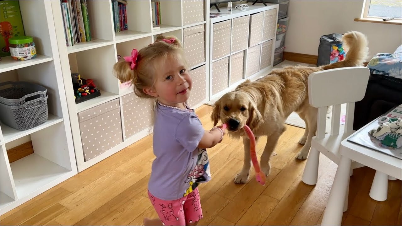 Adorable Little Girl Plays Tug Of War With Her Golden Retriever Pup! (Cutest Ever!!)